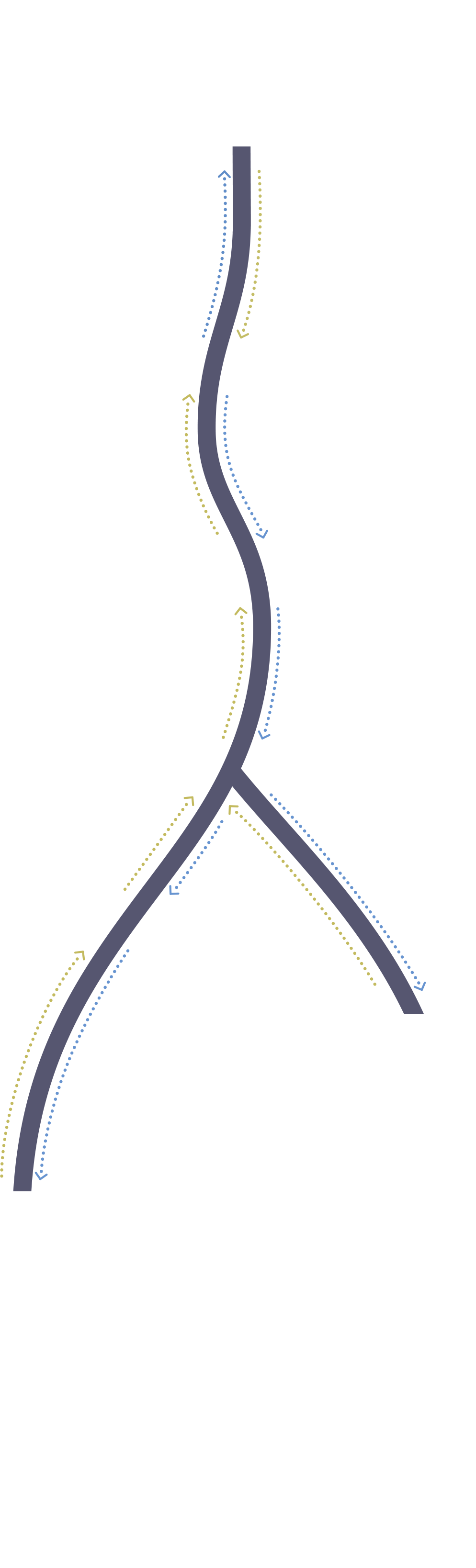 GSL metabolic pathway