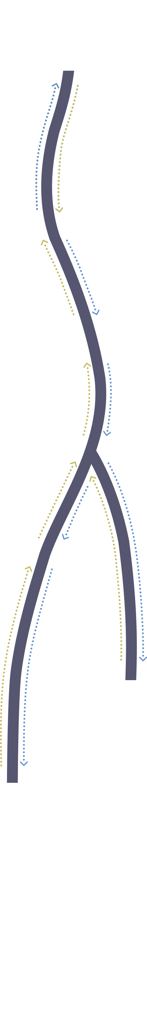 GSL metabolic pathway